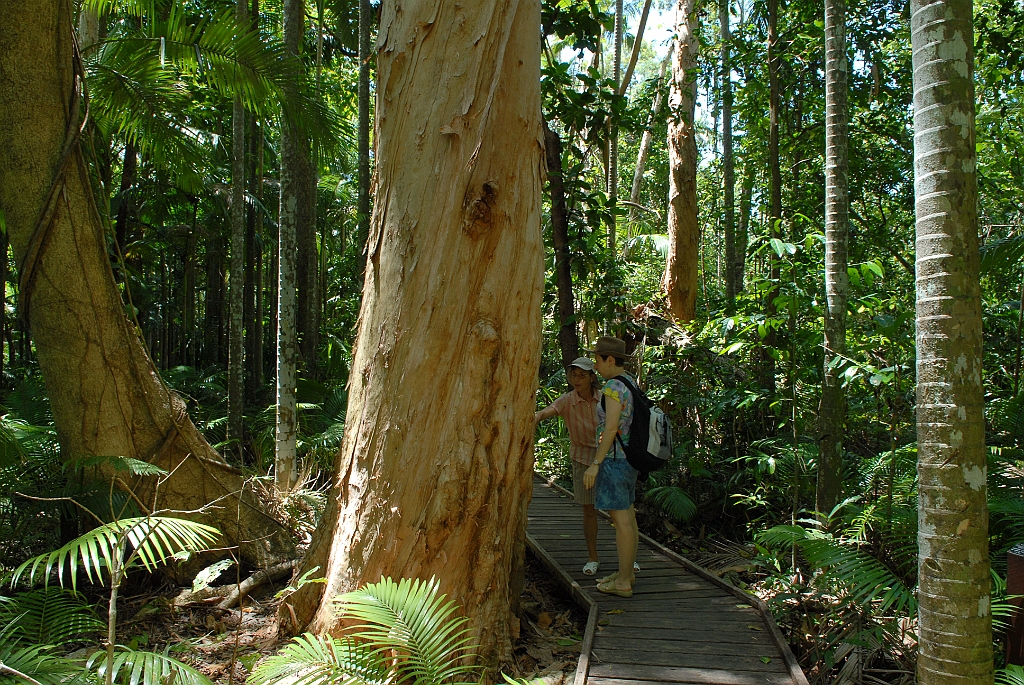 0231 Centenary Lakes.jpg